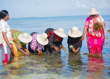 Women in climate action