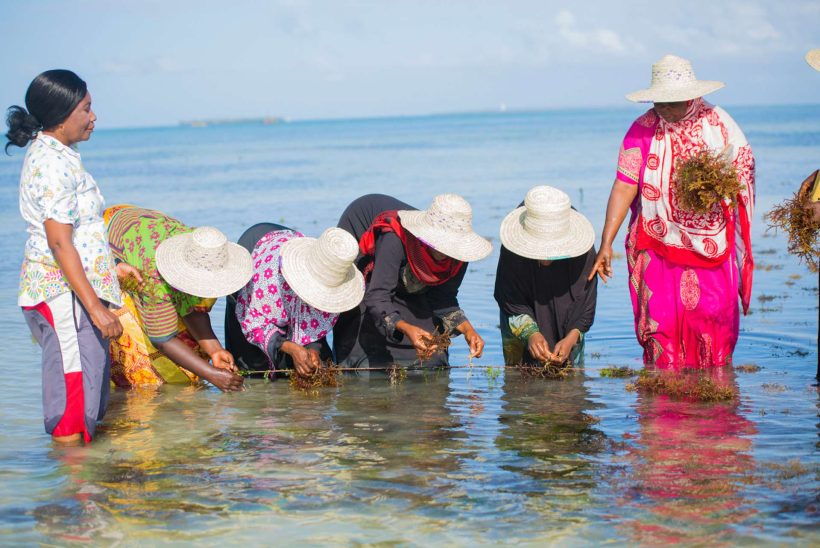 Women in climate action