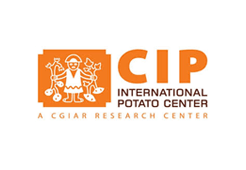 International Potato Center 
