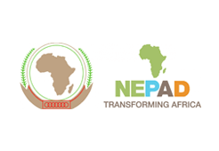 https://www.nepad.org/